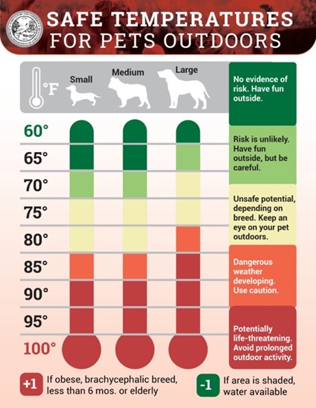 Safe Temperatures for Pets Outdoors Safe Temperatures for Pets Outdoors