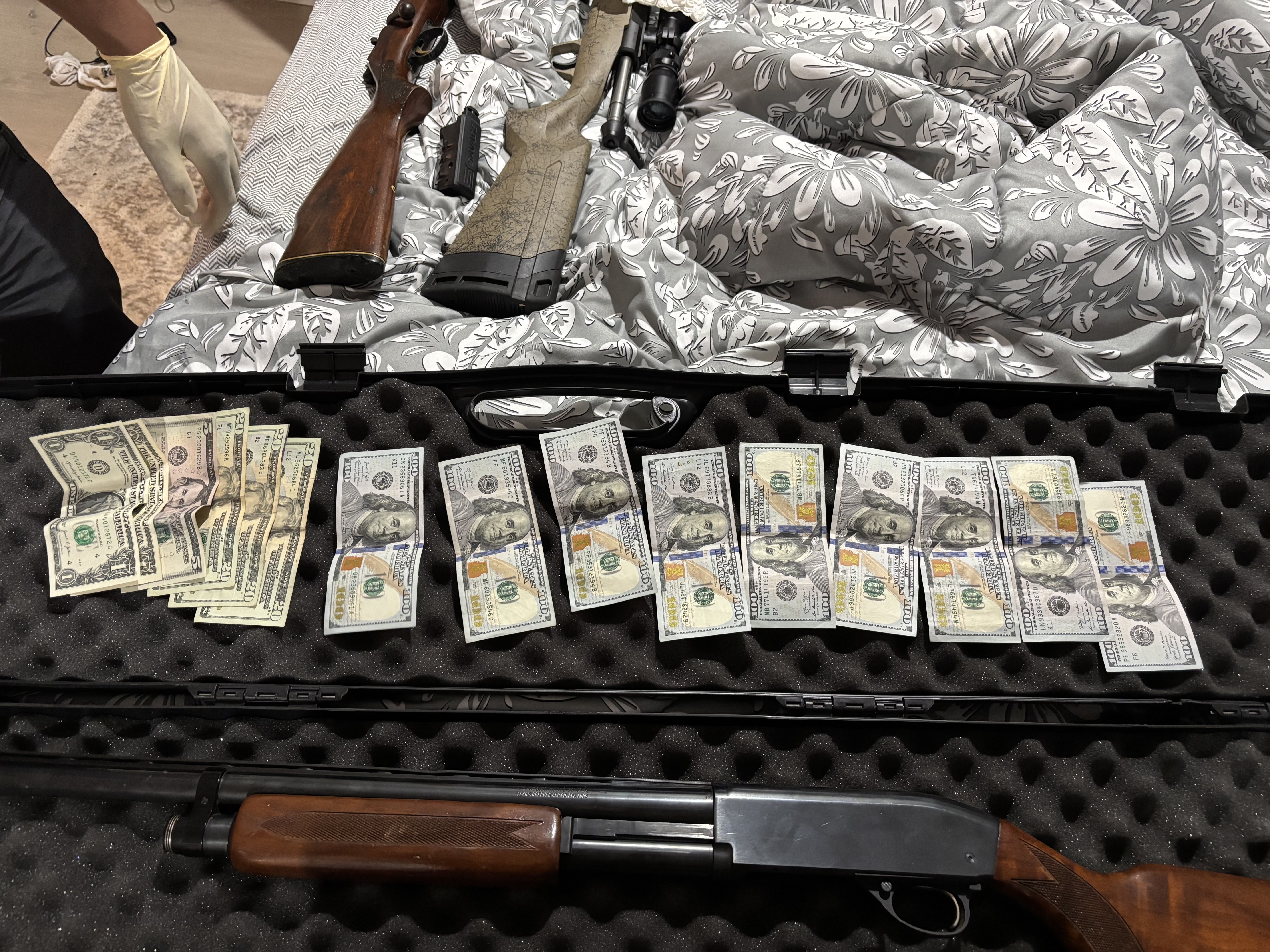Georgia Agriculture Commissioner Announces Seizure of 23 Dogs, Firearms, and Narcotics in Crawford County