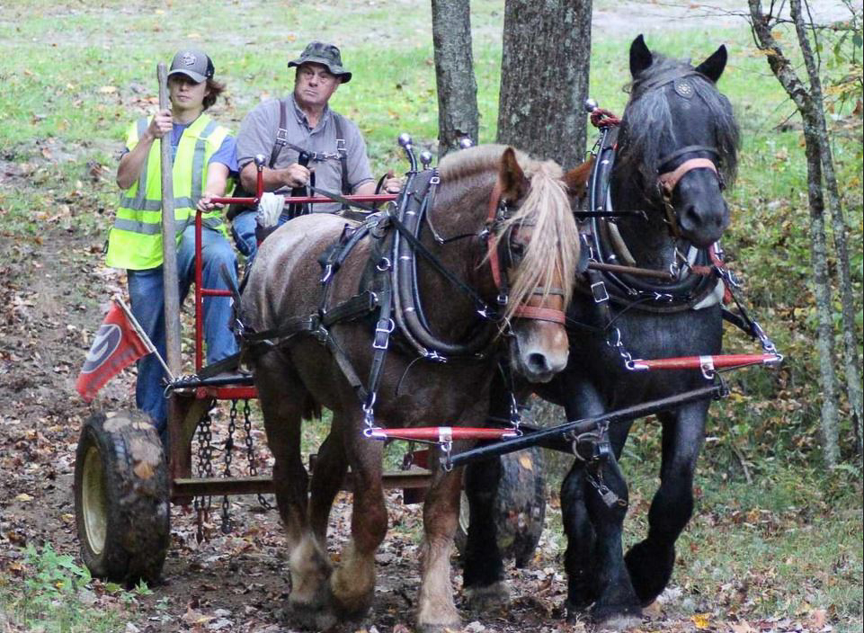 Todd Harris and his son Michael drive a logging arch with a team of American Brabant horses at a West Virginia event. Harris is now incorporating this traditional yet modern approach to farming on his own land in Jones County. (Special Photo/Todd Harris)
