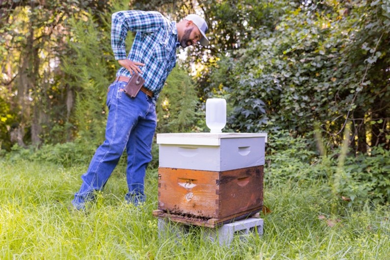 PPD team inspecting beehives in the Savannah, GA area for signs of yellow-legged hornet activity.  - Georgia Department of Agriculture