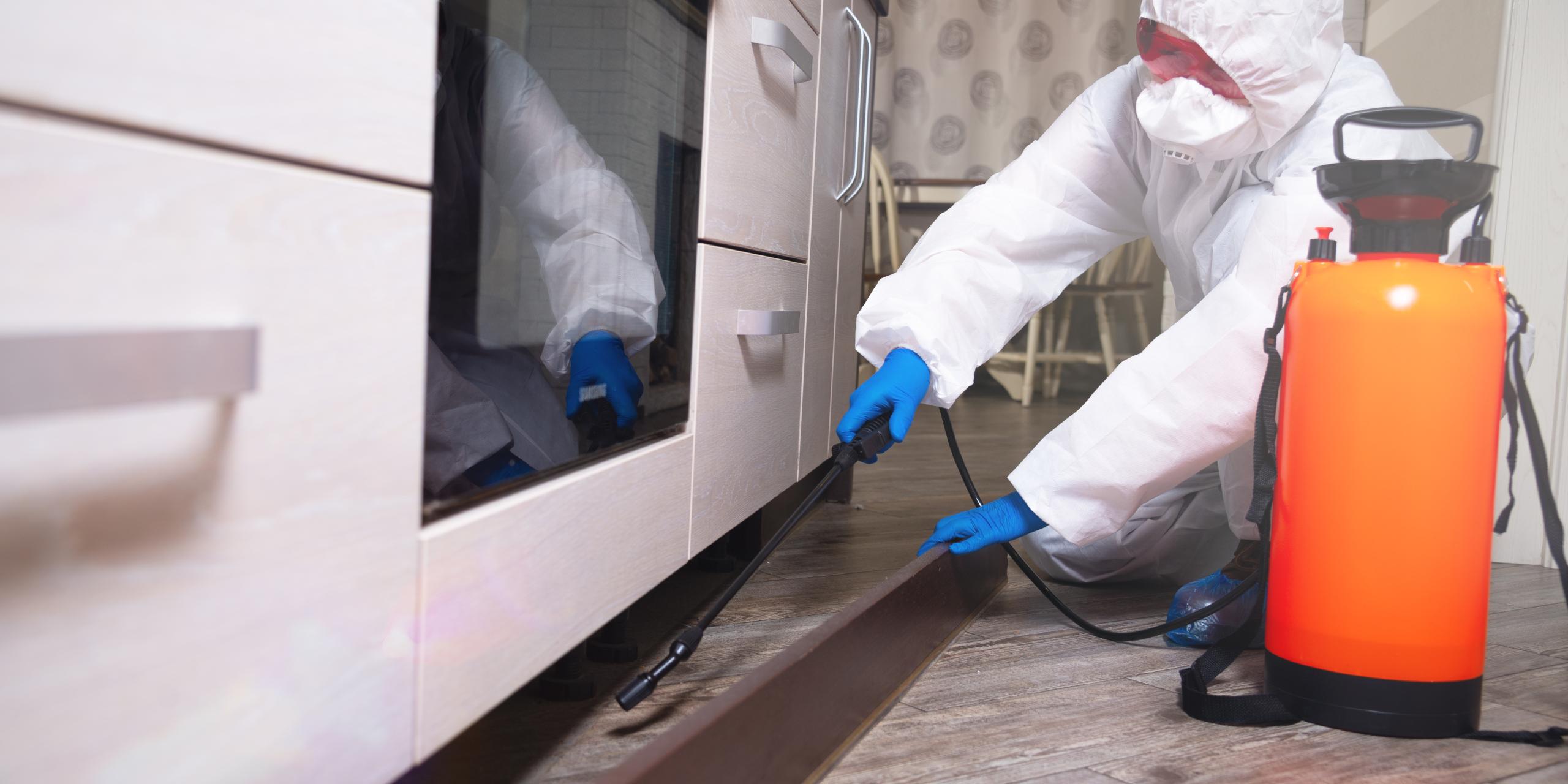 Structural Pest Control Department of Agriculture