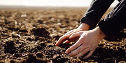 Soil and Fertilizers